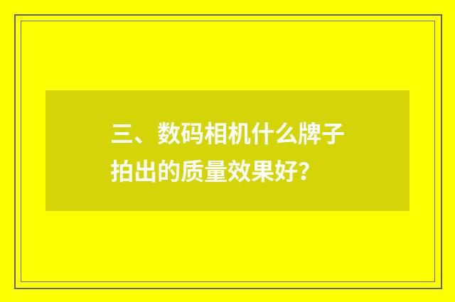 三、数码相机什么牌子拍出的质量效果好？