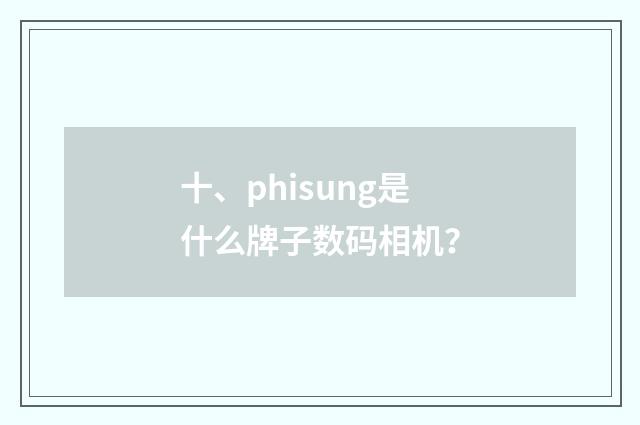 十、phisung是什么牌子数码相机？