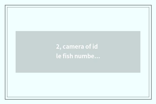 2, camera of idle fish number what sign is good?