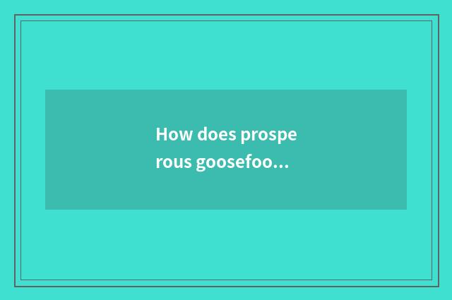How does prosperous goosefoot report sign up greatly?