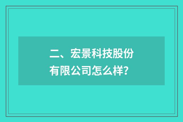二、宏景科技股份有限公司怎么样？