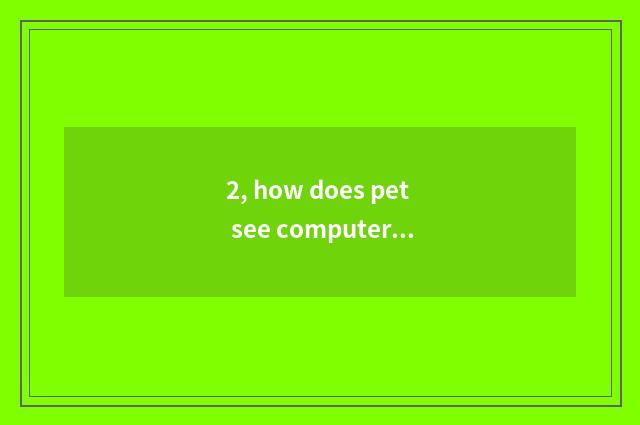 2, how does pet see computer edition do not play again and again?