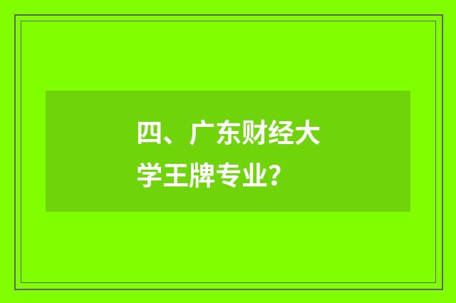 四、广东财经大学王牌专业？