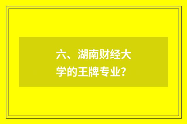 六、湖南财经大学的王牌专业？