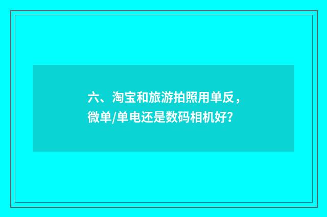 六、淘宝和旅游拍照用单反，微单/单电还是数码相机好？
