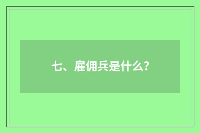 七、雇佣兵是什么？