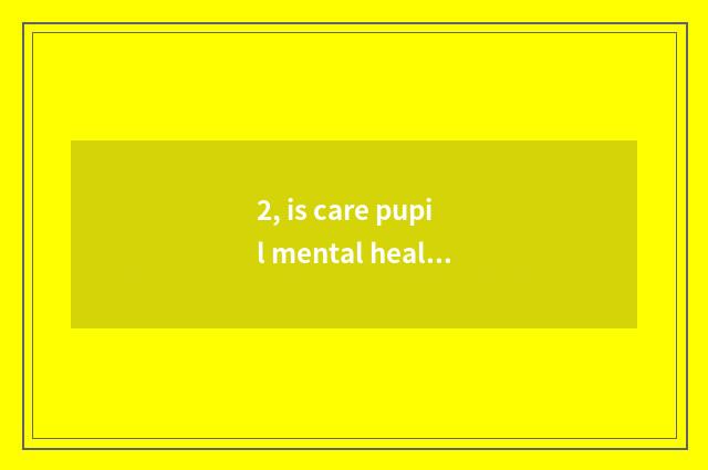 2, is care pupil mental health volunteer the meaning that serves an activity?