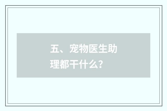 五、宠物医生助理都干什么？