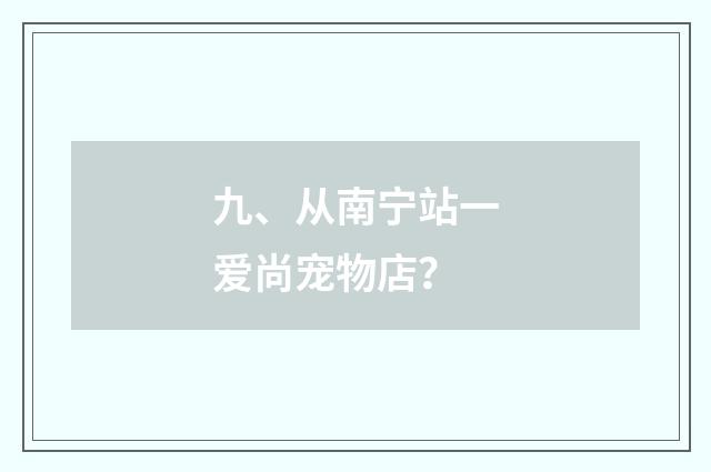 九、从南宁站一爱尚宠物店？