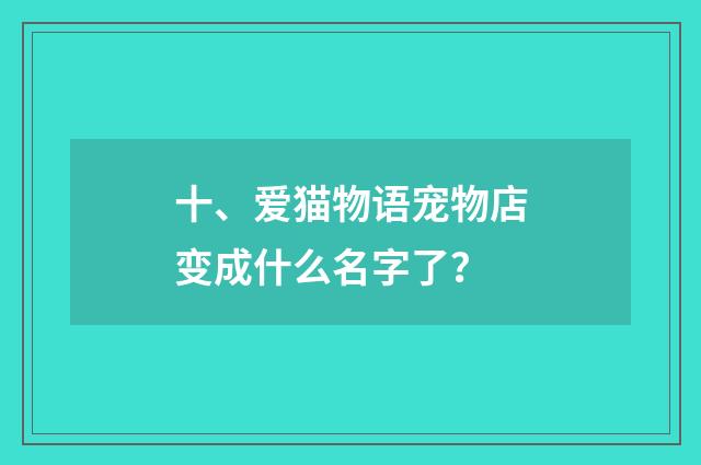 十、爱猫物语宠物店变成什么名字了？