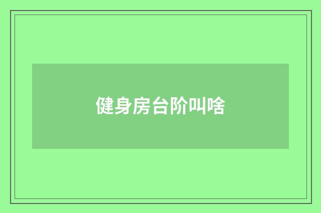 健身房台阶叫啥