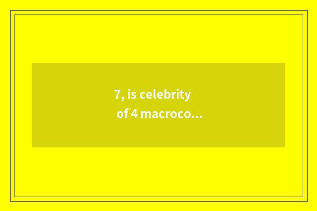 7, is celebrity of 4 macrocosm culture those 4 respectively?