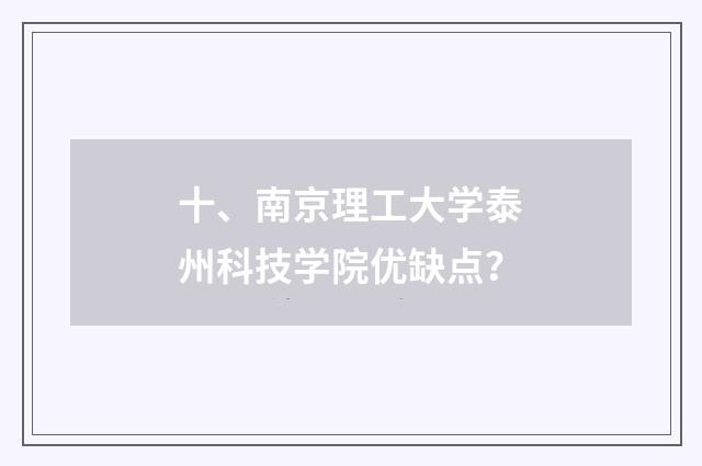 十、南京理工大学泰州科技学院优缺点？