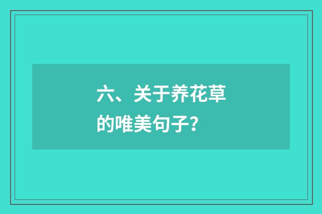 六、关于养花草的唯美句子？