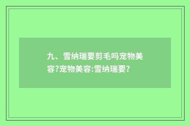九、雪纳瑞要剪毛吗宠物美容?宠物美容:雪纳瑞要？