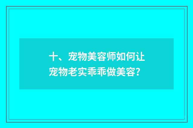 十、宠物美容师如何让宠物老实乖乖做美容？