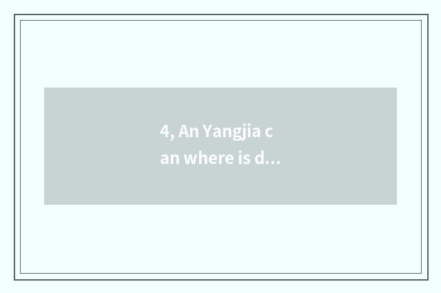 4, An Yangjia can where is digital camera brand shop?