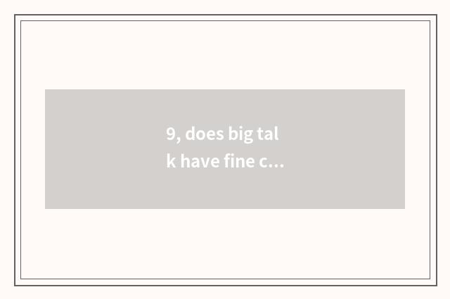 9, does big talk have fine can the brand shop of digital camera?