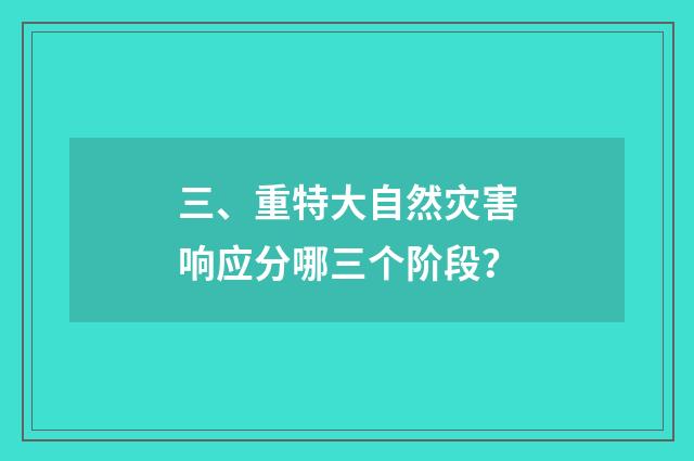 三、重特大自然灾害响应分哪三个阶段？