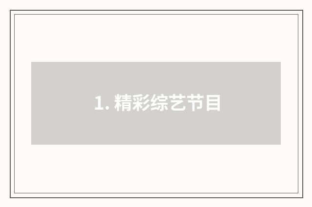 1. 精彩综艺节目