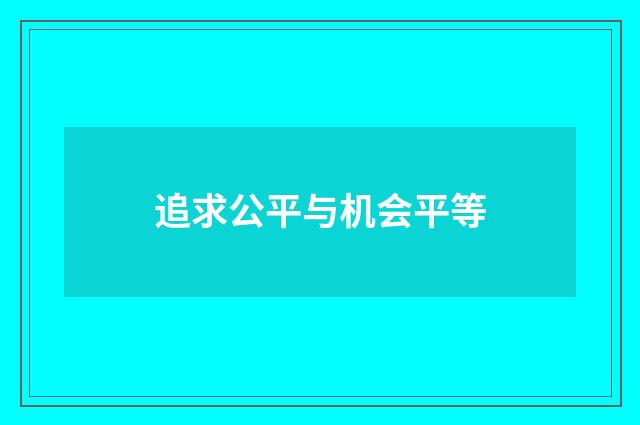 追求公平与机会平等