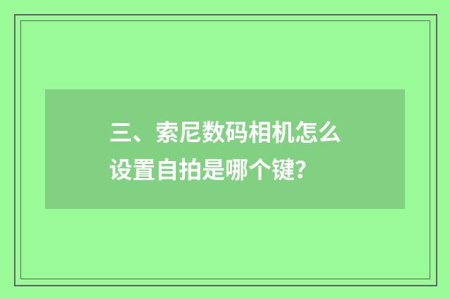 三、索尼数码相机怎么设置自拍是哪个键?