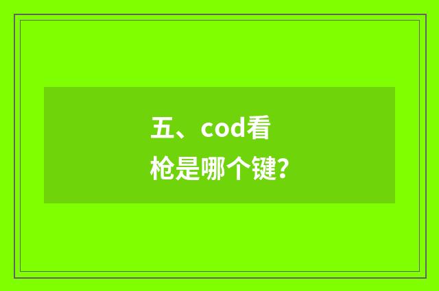 五、cod看枪是哪个键？