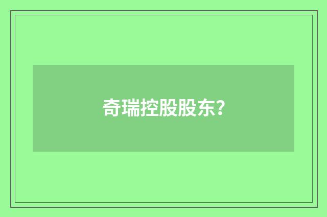 奇瑞控股股东？