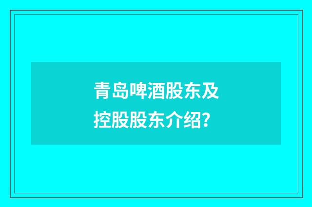 青岛啤酒股东及控股股东介绍？
