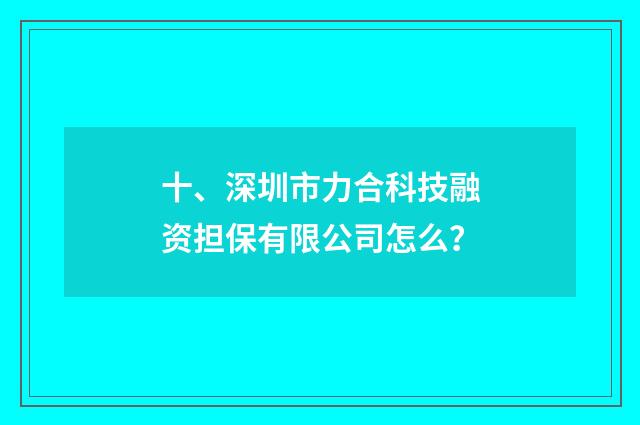 十、深圳市力合科技融资担保有限公司怎么？