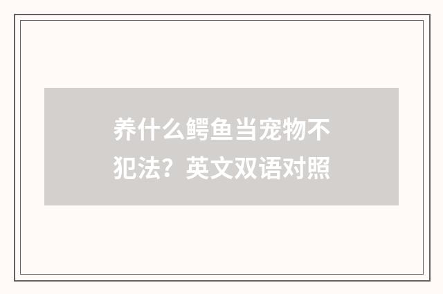 养什么鳄鱼当宠物不犯法？英文双语对照