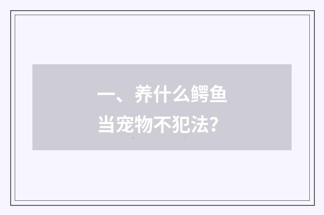 一、养什么鳄鱼当宠物不犯法？