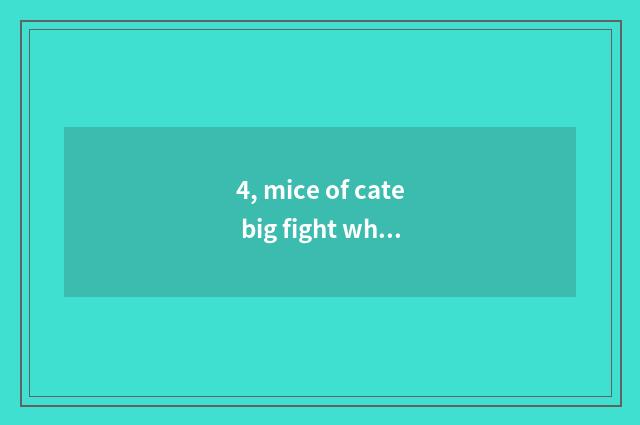 4, mice of cate big fight which cate is good with?