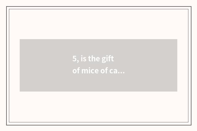 5, is the gift of mice of cate big fight changed at which? Mice of cate big figh