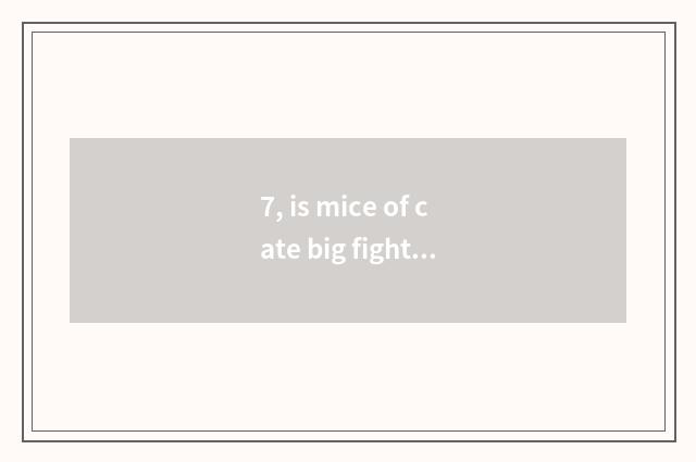 7, is mice of cate big fight amused?