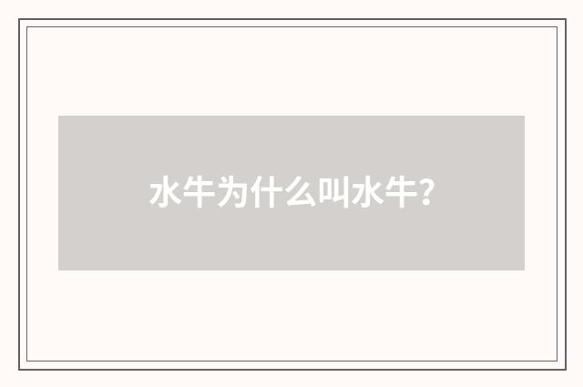 水牛为什么叫水牛？