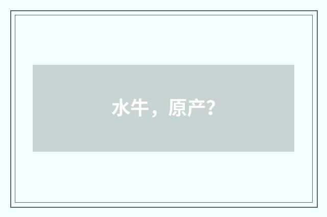 水牛，原产？