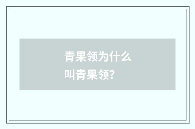 青果领为什么叫青果领？