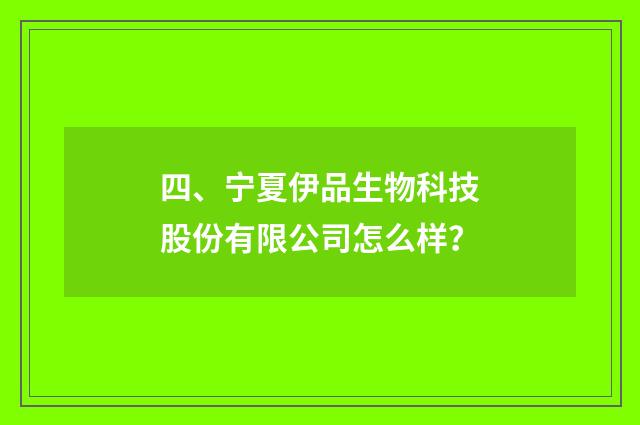 四、宁夏伊品生物科技股份有限公司怎么样？