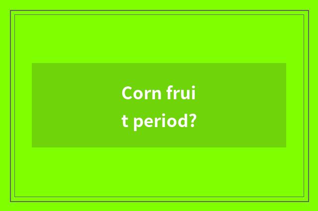 Corn fruit period?
