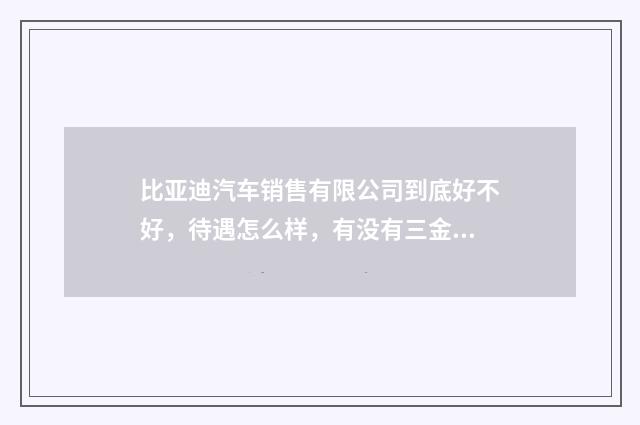 比亚迪汽车销售有限公司到底好不好，待遇怎么样，有没有三金或五金？拜托了各位，谢谢？英文双语对照