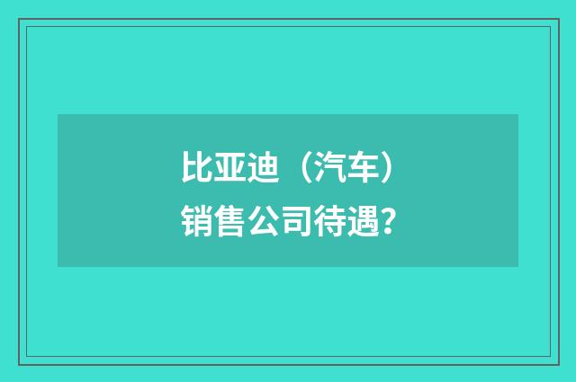 比亚迪（汽车）销售公司待遇？
