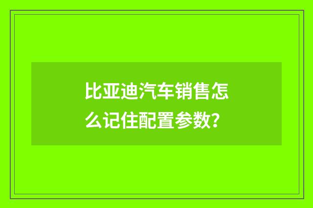 比亚迪汽车销售怎么记住配置参数?