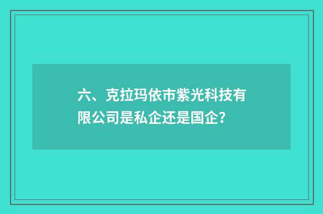 六、克拉玛依市紫光科技有限公司是私企还是国企？