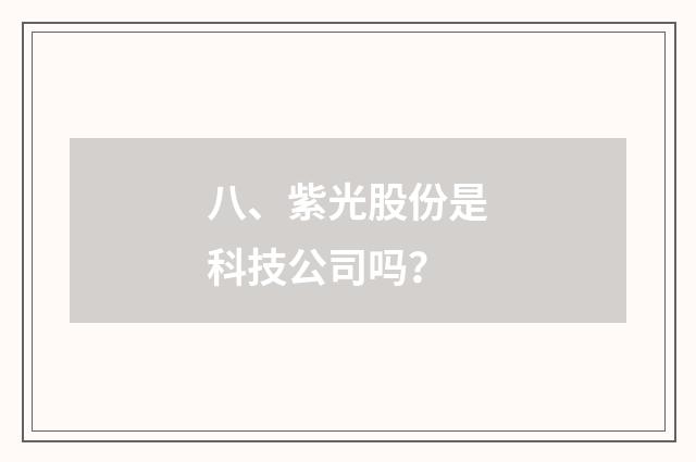 八、紫光股份是科技公司吗？