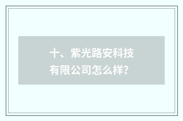 十、紫光路安科技有限公司怎么样？