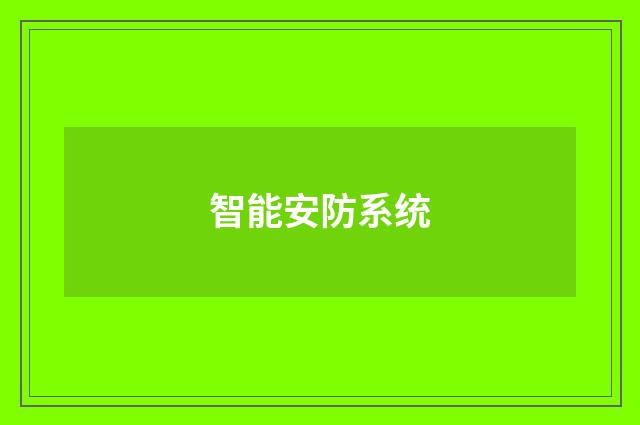 智能安防系统