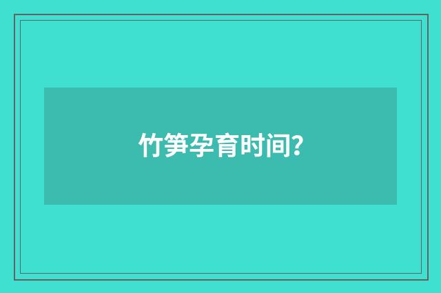 竹笋孕育时间？