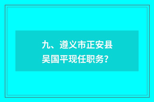 九、遵义市正安县吴国平现任职务？
