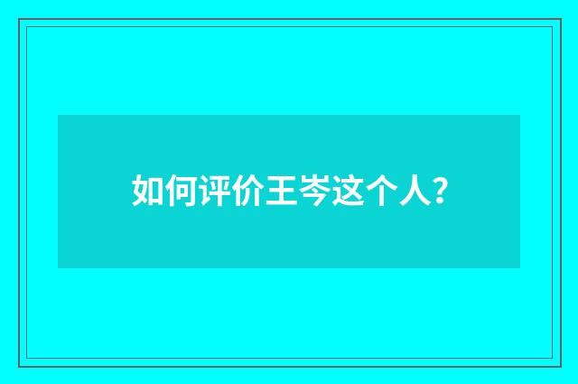 如何评价王岑这个人？